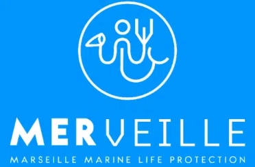 MerVeille-logo-RVB-300dpi_Logo-MerVeille-fondBleu