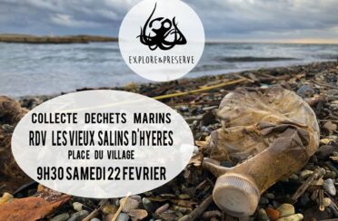 event image 1580332337 collecte de dechets marins