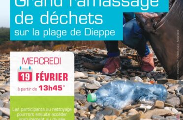 event image 1580920151 grand ramassage de dechets sur la plage de dieppe