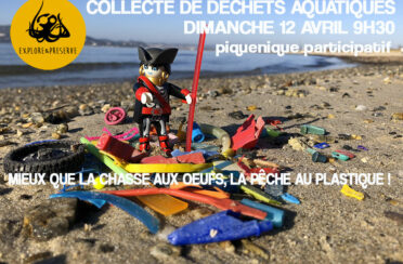 event image 1583668360 collecte de dechets marins