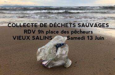 event image 1591806054 collecte de dechets sauvages