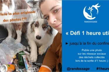 event image 1605353705 defi 1 heure utile