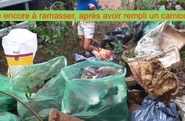 event image 1606069914 le ramassage ca devient viral a vaiare moorea 3 3