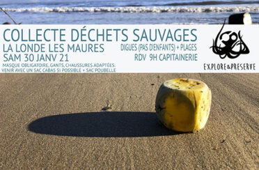 event image 1611491417 collecte de dechets sauvages