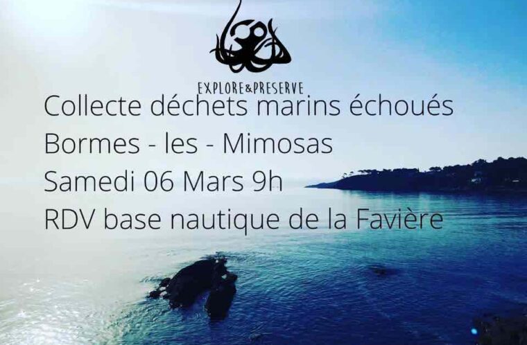 event image 1614361641 collecte dechets marins echoues