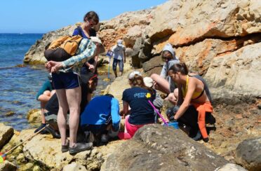 event image 1615389715 decouverte de la biodiversite du littoral