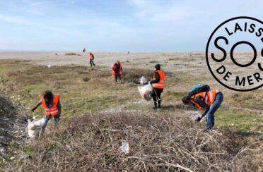 event image 1616487515 ramassage de dechets sur la plage