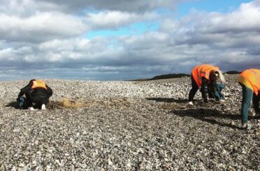 event image 1641828461 sortie sensibilisation dechets sur le littoral