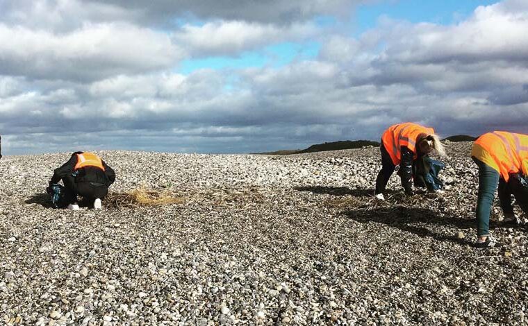 event image 1641828461 sortie sensibilisation dechets sur le littoral