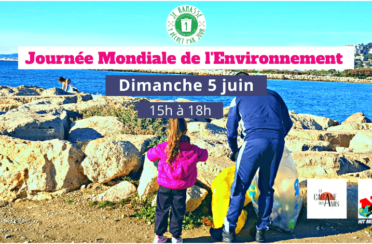 event image 1645785338 journee mondiale de lenvironnement