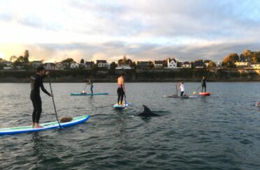 event image 1650991350 cleanup la palue breizh ocean cleaner