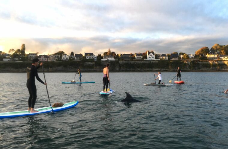 event image 1650991350 cleanup la palue breizh ocean cleaner