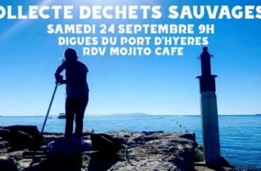 event image 1662113989 le port collecte dechets sauvages et echoues