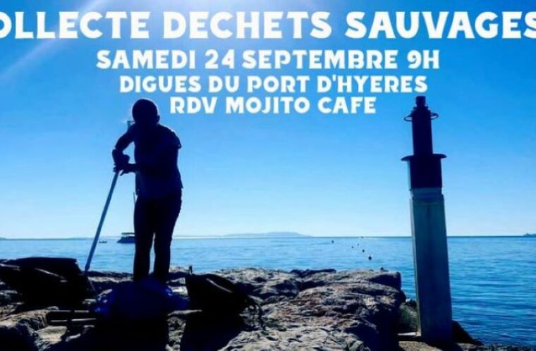 event image 1662113989 le port collecte dechets sauvages et echoues