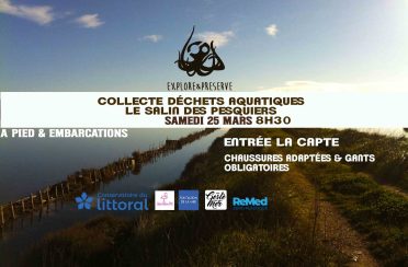 event image 1670763071 collecte de dechets aquatiques le salin des pesquiers scaled