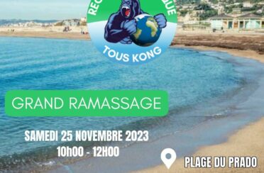 event image 1699969299 grand ramassage sur les plages duprado