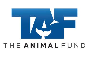 organization logo 1573296841 taf the animal fund