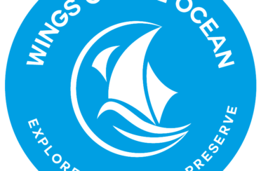 organization logo 1573567584 wings of the ocean