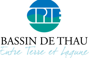 organization logo 1579874708