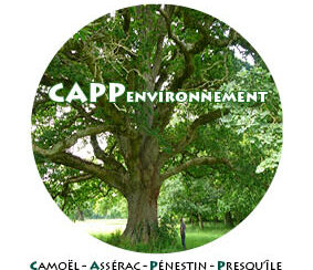 organization logo 1619716732 cappenvironnement