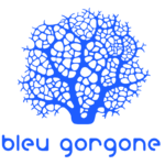 organization logo 1657788228 bleu gorgone