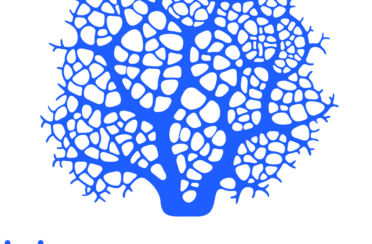 organization logo 1657788228 bleu gorgone