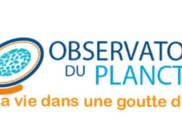 organization logo 1694527508 observatoire du plancton