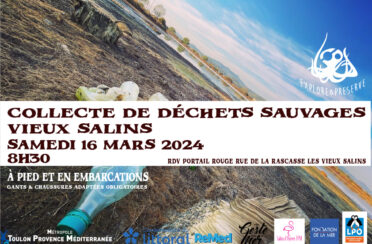 event image 1704466437 collecte de dechets sauvages vieux salins