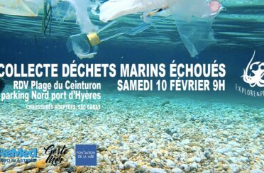 event image 1706791479 collecte dechets marins echoues port hyeres