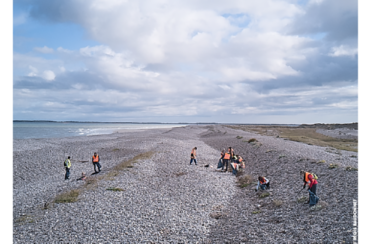 event image 1707231274 nettoyage grandes marees a cayeux sur mer