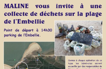 event image 1707551759 collecte de dechets sur la plage de lembellie