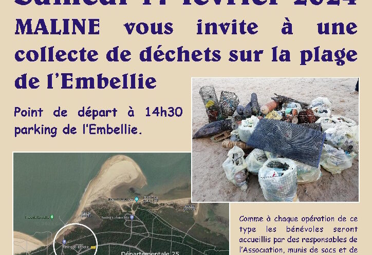 event image 1707551759 collecte de dechets sur la plage de lembellie