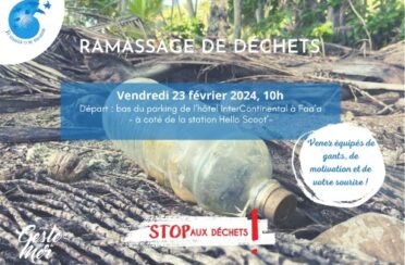 Ramassage-23-fevrier-2024