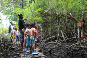 Ho-Ut Visite sentier mangrove école du village de Touho(1)