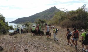 naturalistes de mayotte