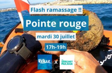 Pointe-rouge-Insta-30_07-allegee