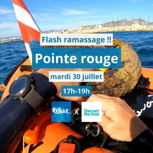 Pointe-rouge-Insta-30_07-allegee