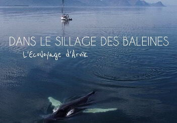 Affiche-Dans-le-sillage-des-baleines-1