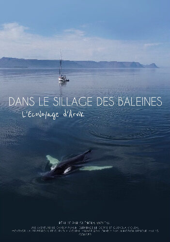 Affiche-Dans-le-sillage-des-baleines-1