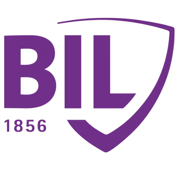 Bil