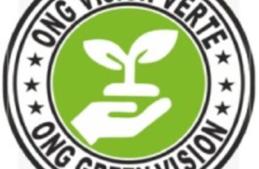 Logo-Green-Vision