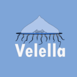 Icone-Velella