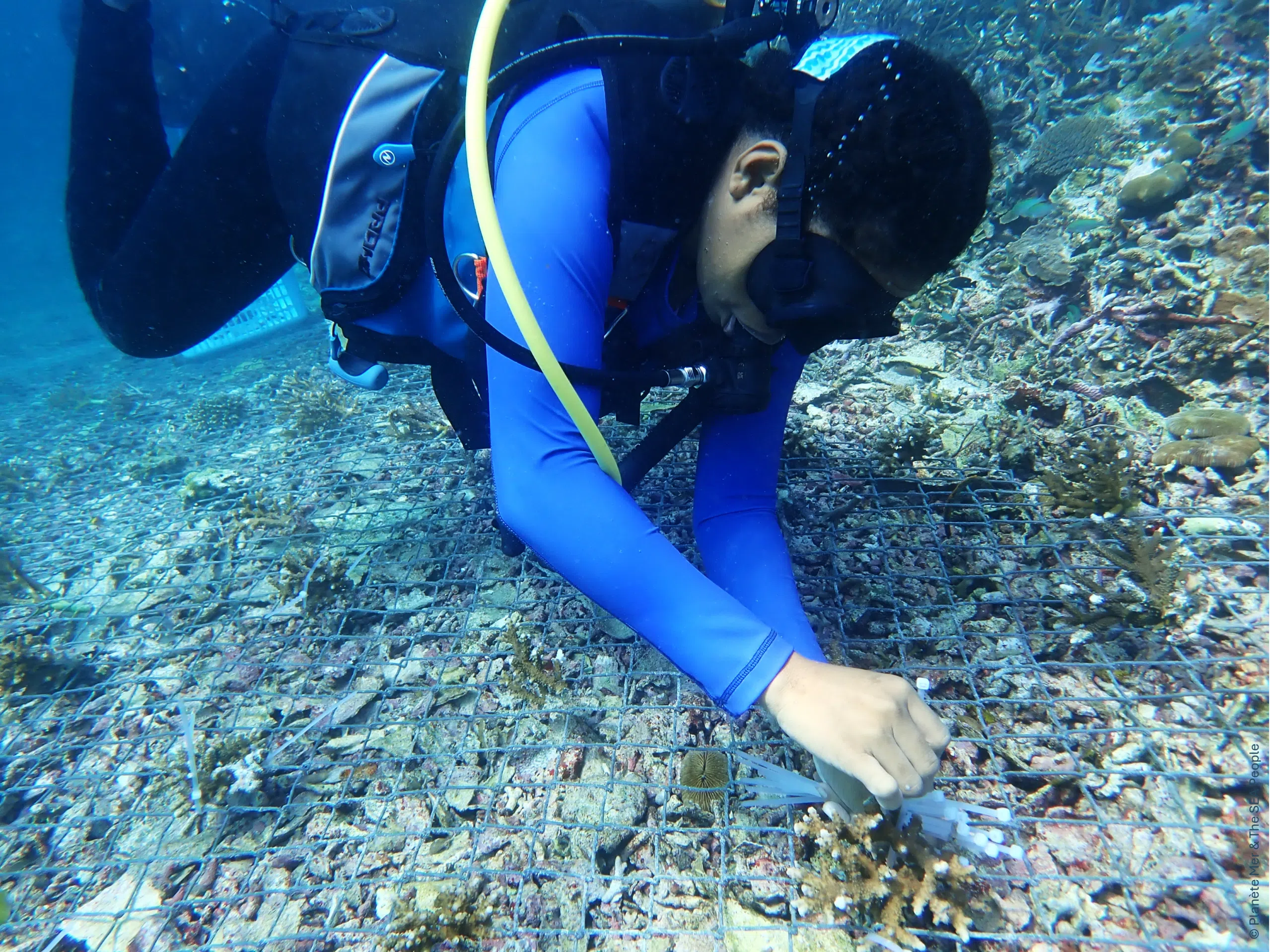 Yaf Keru - Fondation de le Mer - Restauration (c) Planete Mer & The SEA People