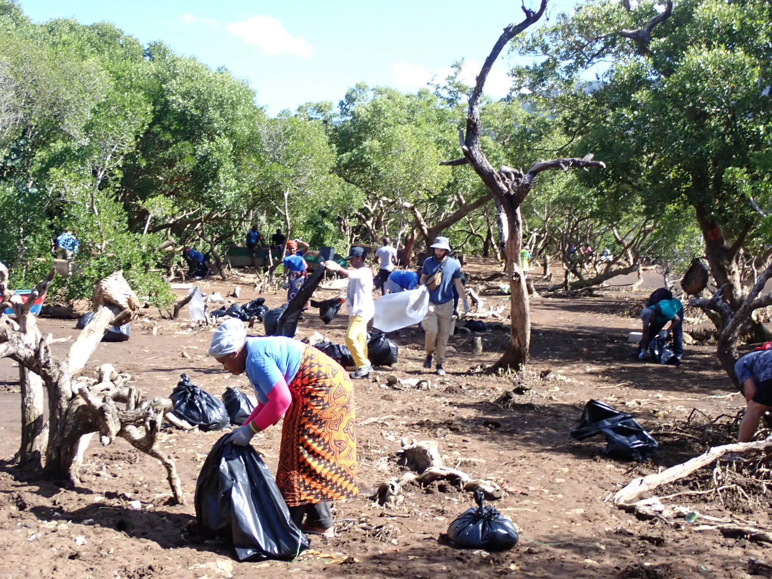 Opération de nettoyage de la mangrove - Les Naturalistes de Mayotte