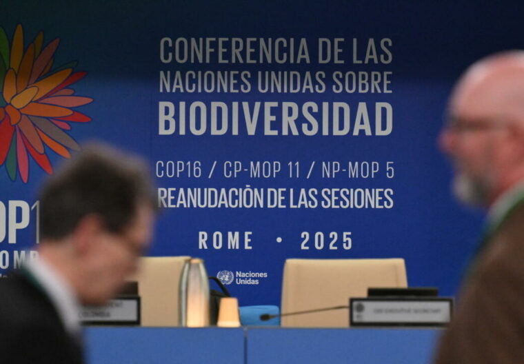 cop16